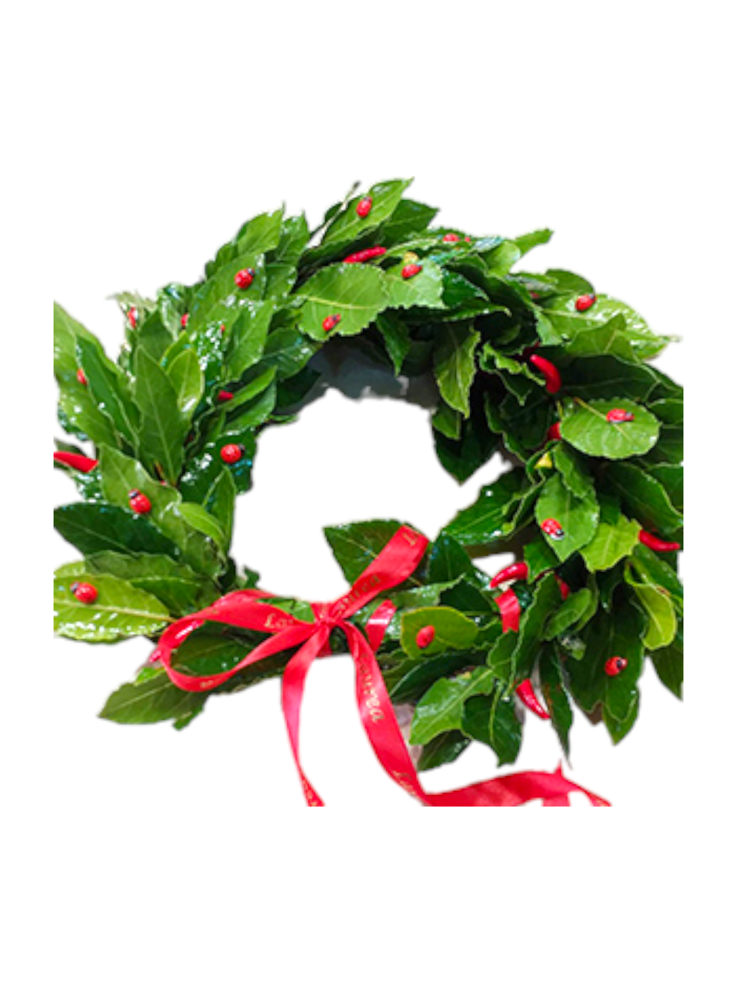 Featured image for “Coroncina per laurea con peperoncini e coccinelle”