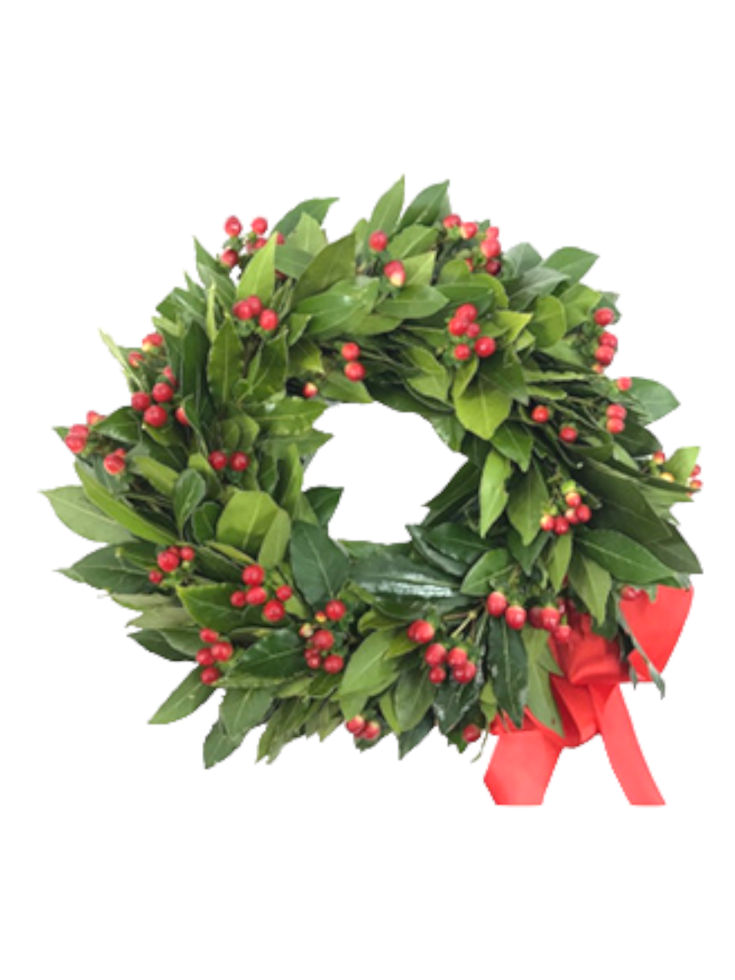 Featured image for “Coroncina di laurea con hypericum”