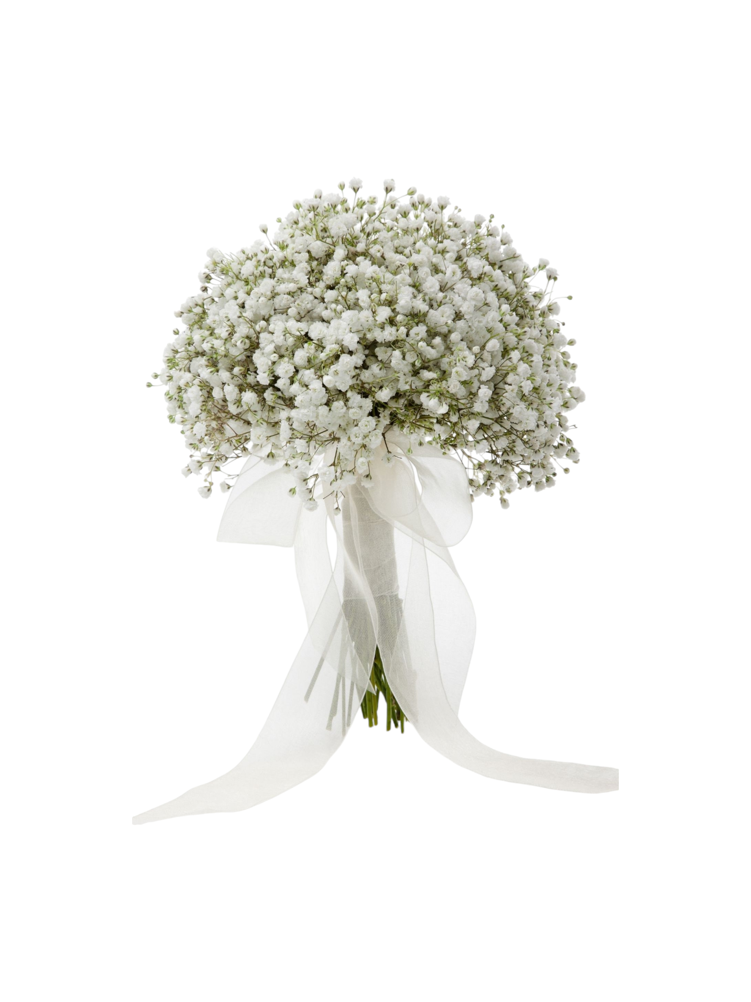 Featured image for “Bouquet da Sposa Gypsophila”