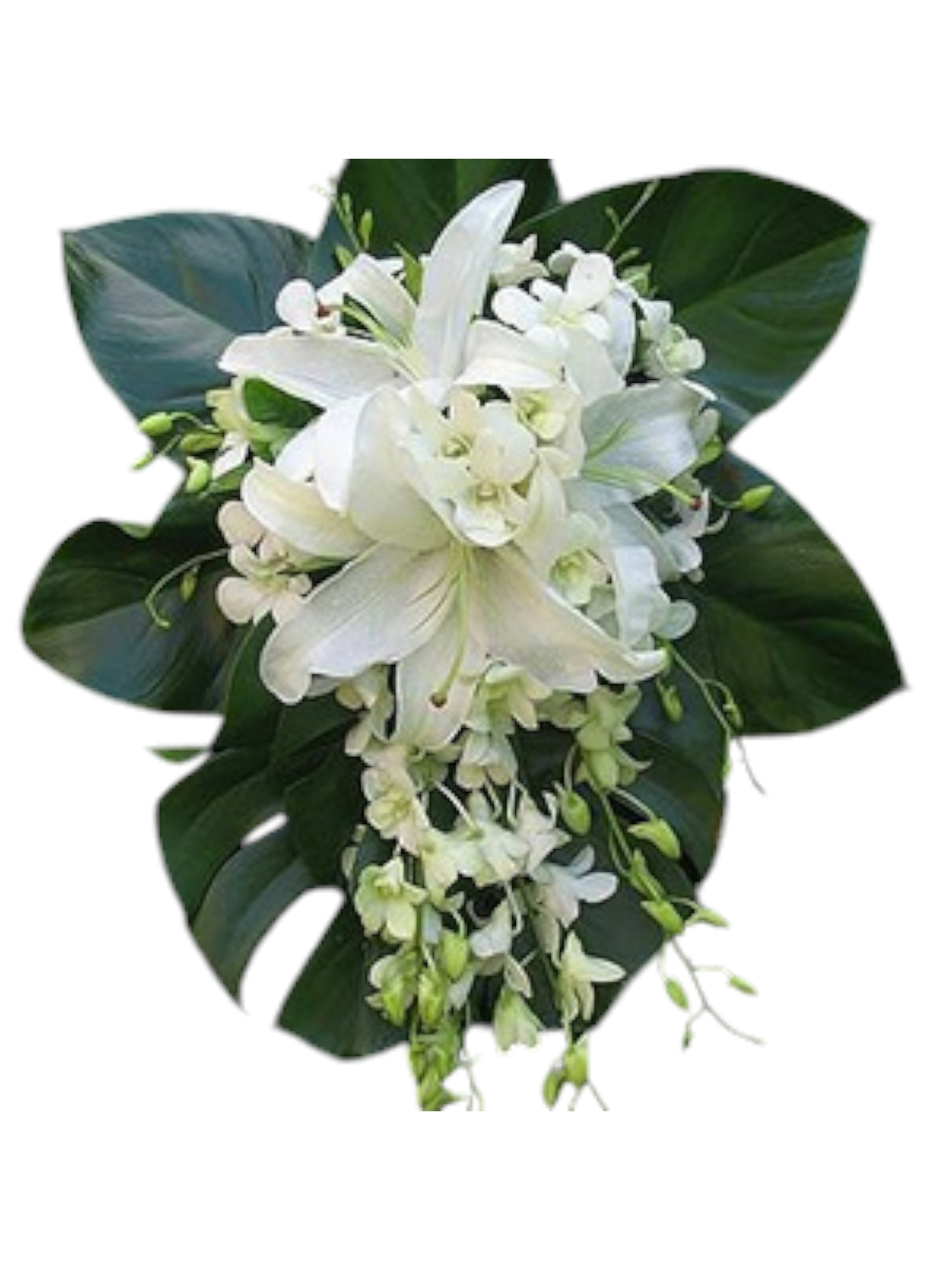 Featured image for “Bouquet da Sposa Orchidee Bianche e Lilium”