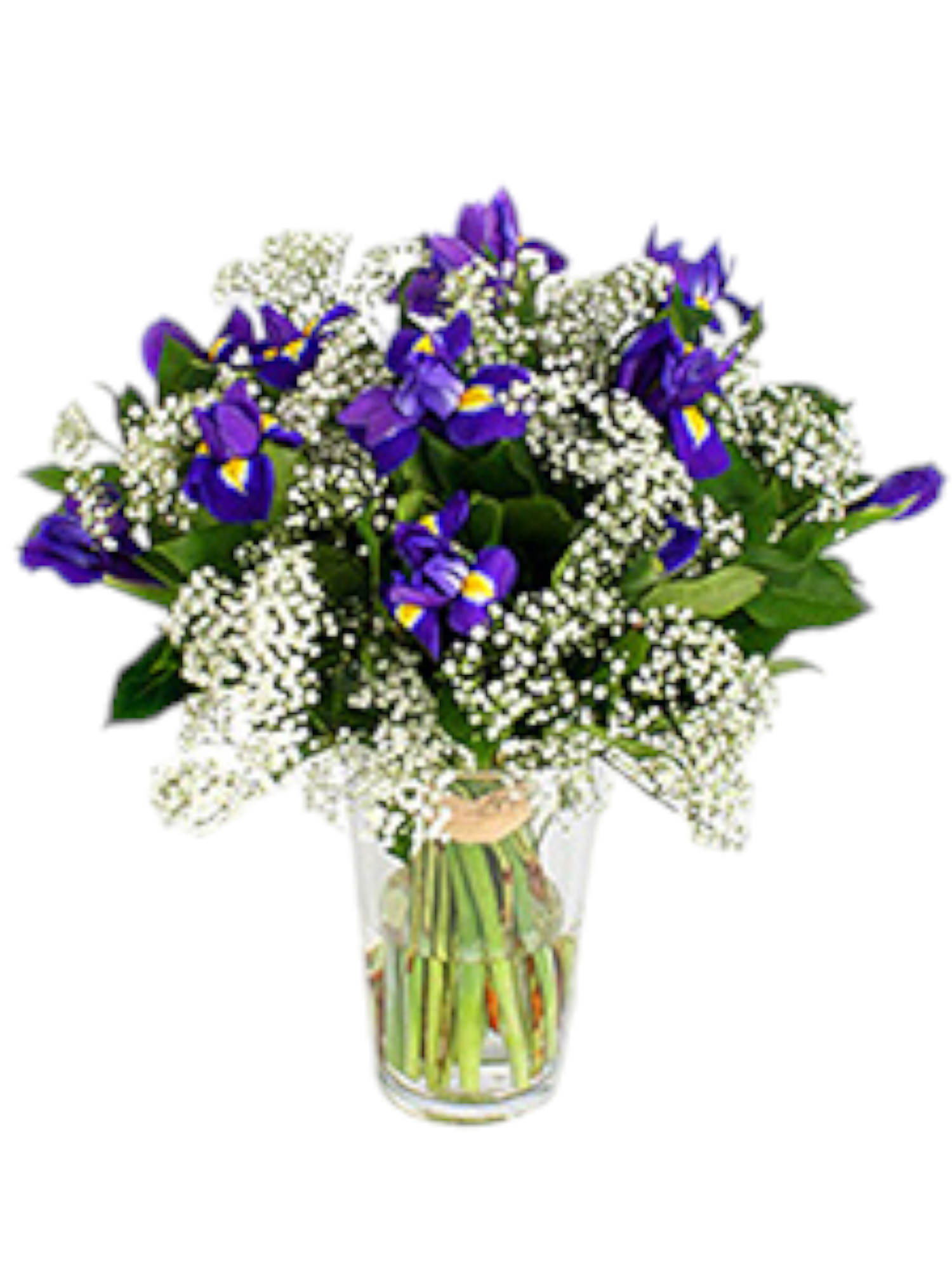 Bouquet Iris e Gypsophila