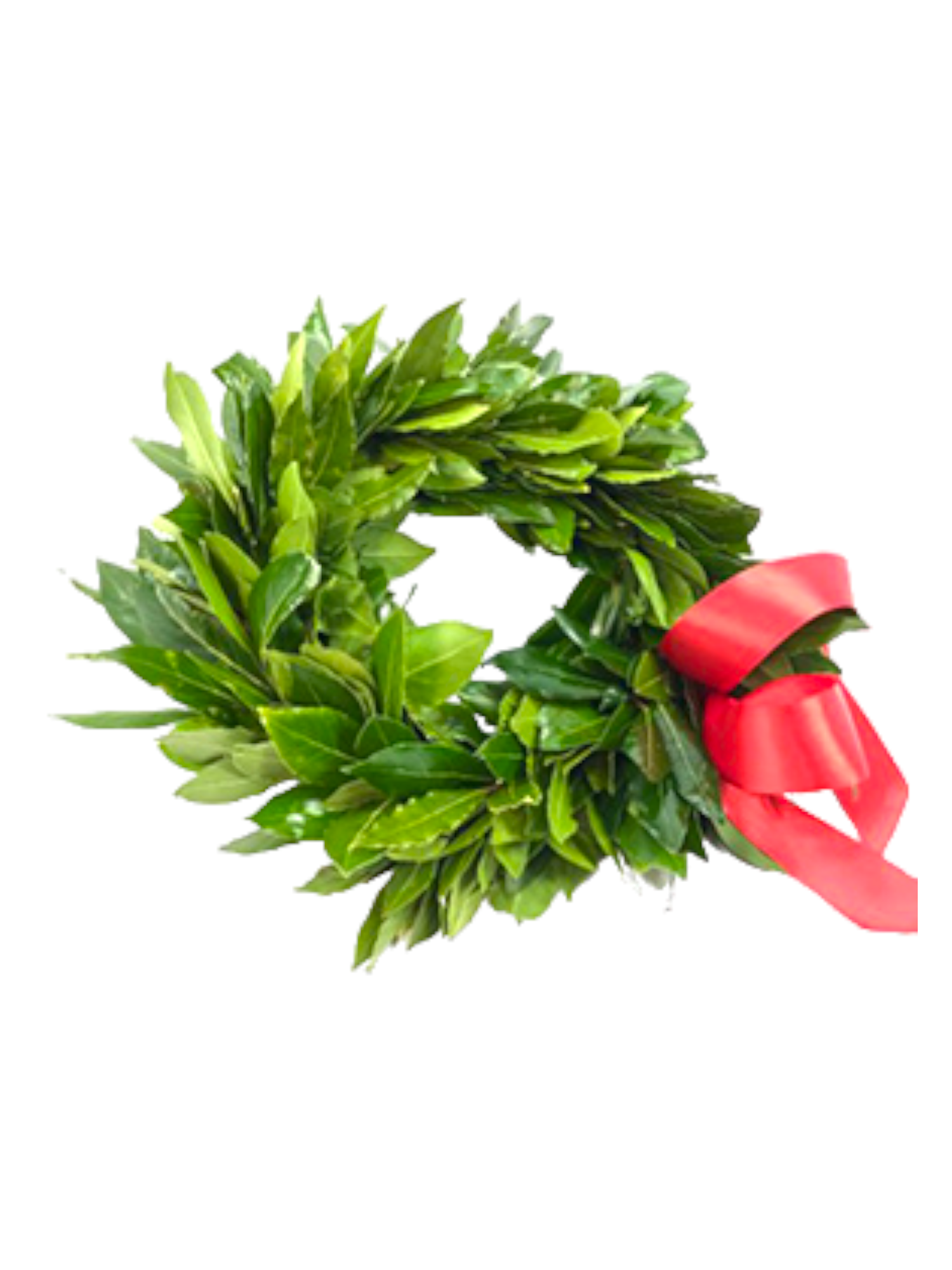Featured image for “Coroncina Semplice con Fiocco in Raso”