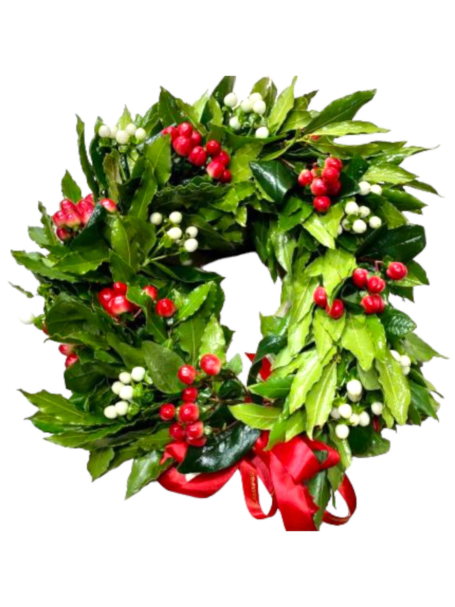 Featured image for “Coroncina per laurea con hypericum”