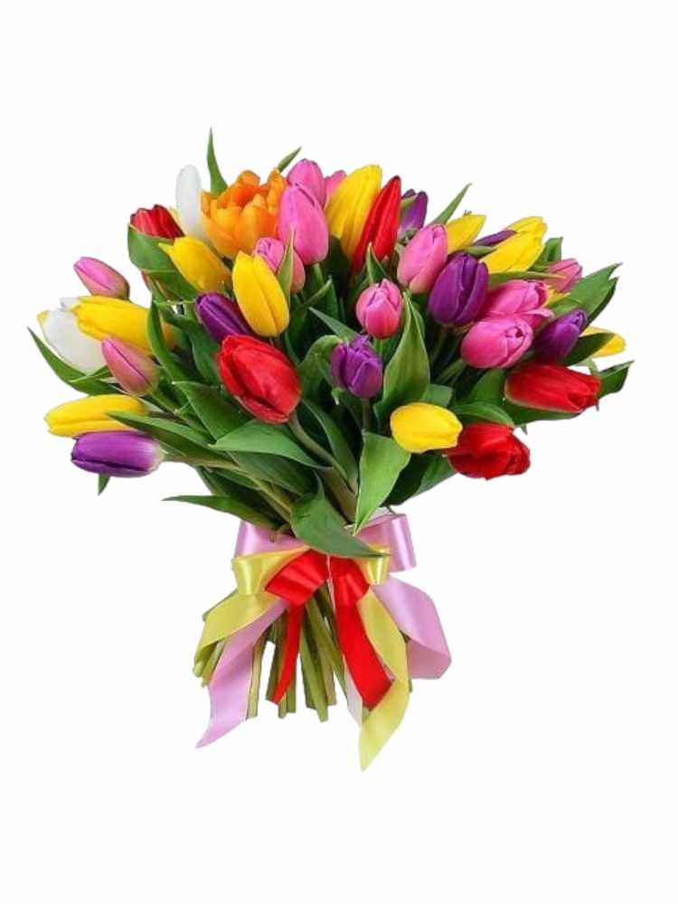 Bouquet di 30 tulipani misti