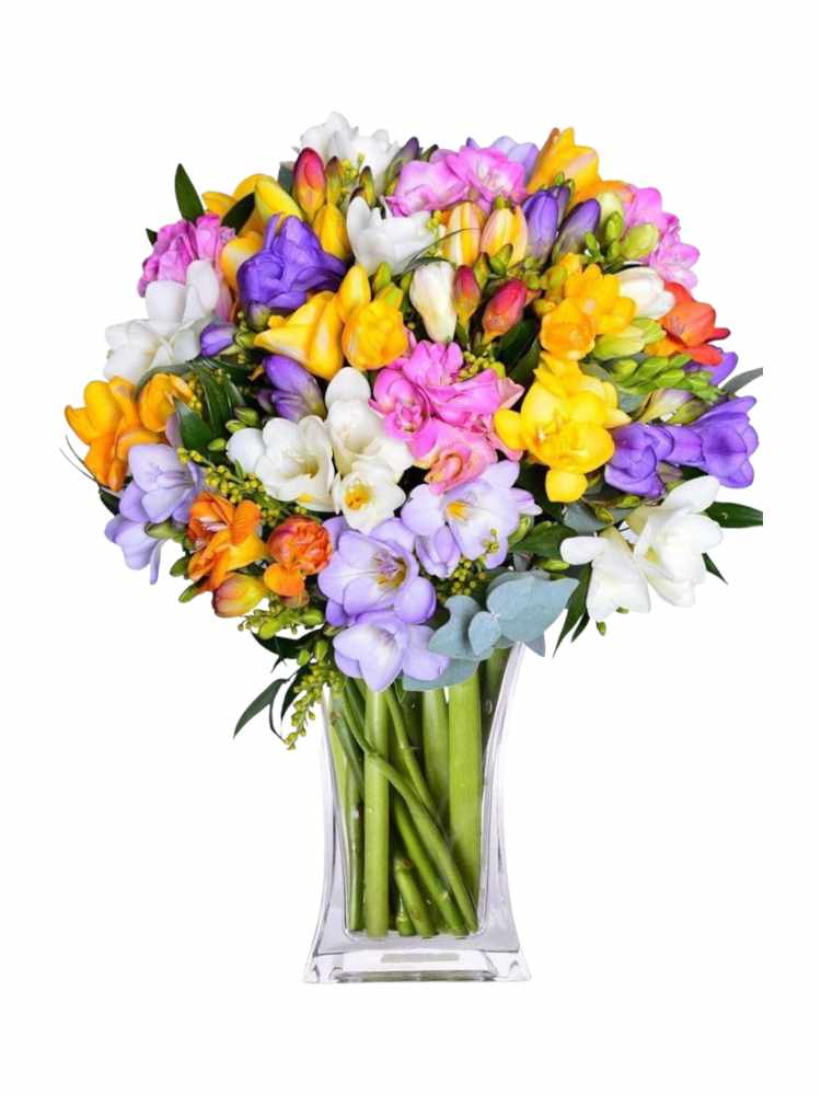 Bouquet di fresie miste
