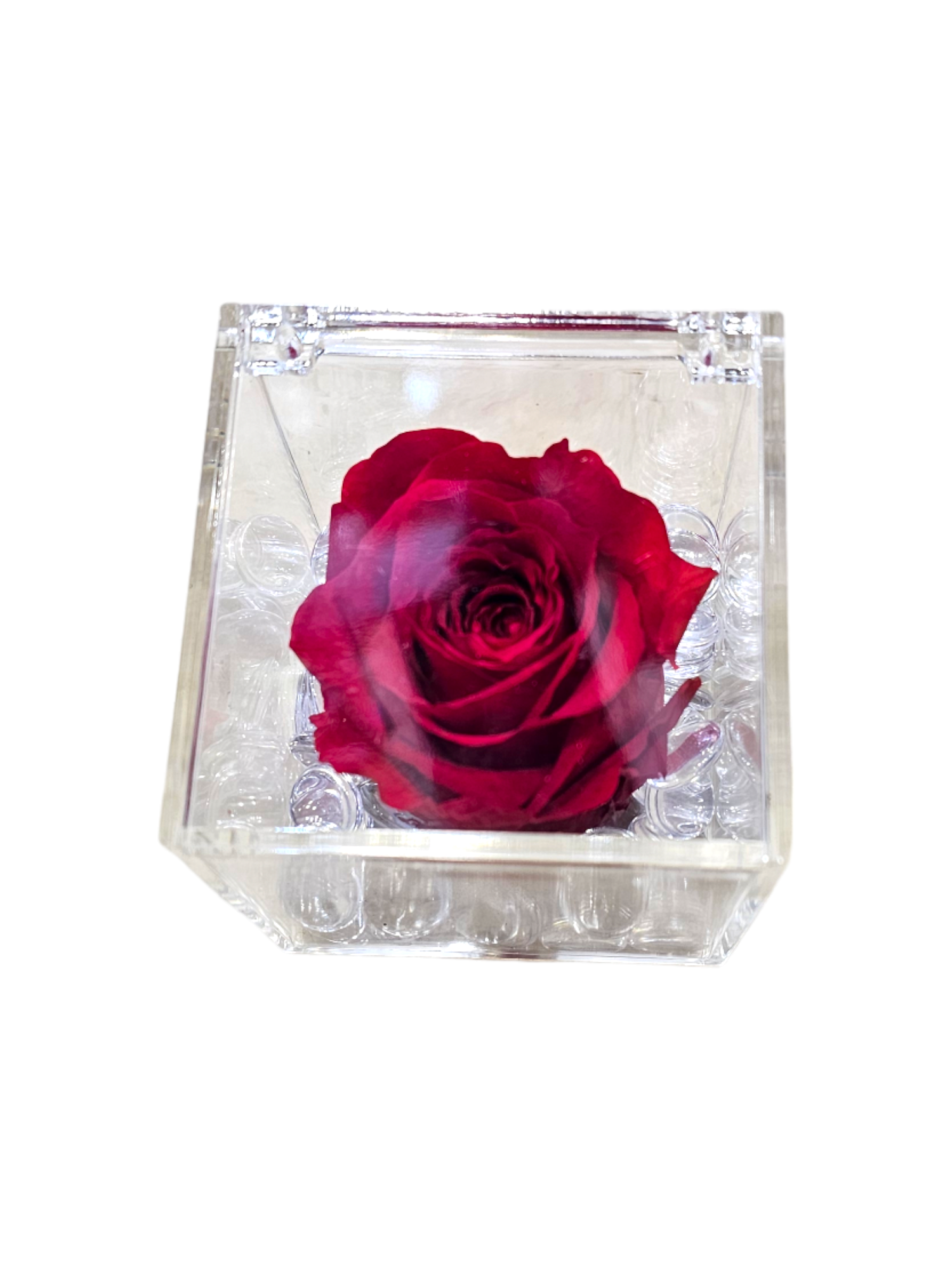 Featured image for “Rose stabilizzate in cubo (grande)”