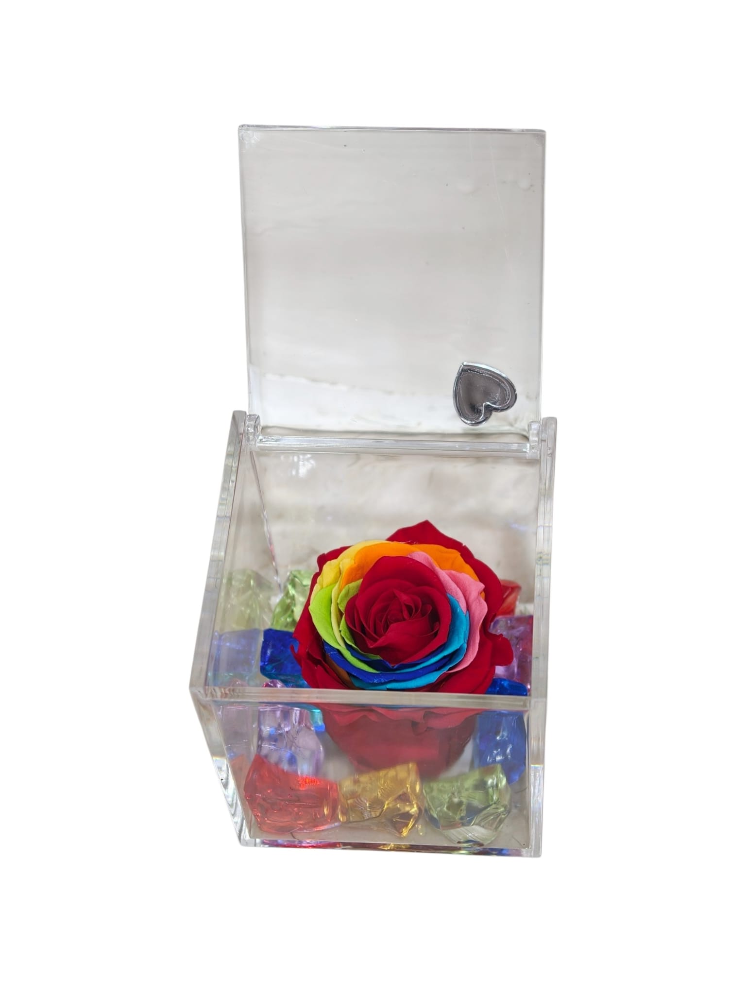 Rosa stabilizzata arcobaleno in cubo trasparente grande