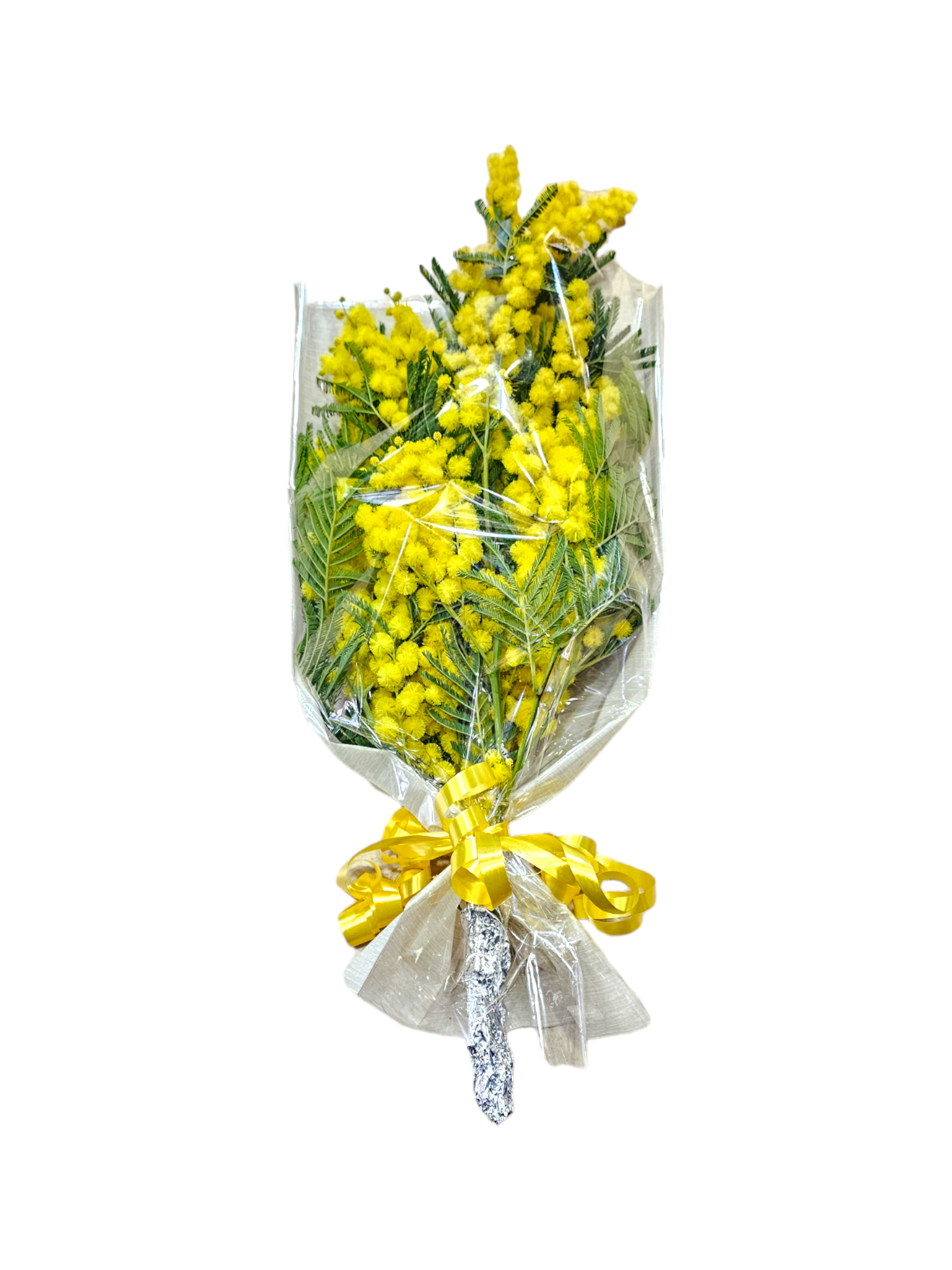 mazzetto di mimosa medio