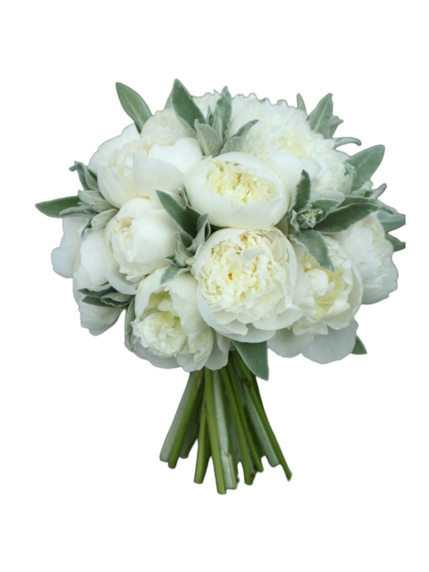 Bouquet da sposa peonie bianche