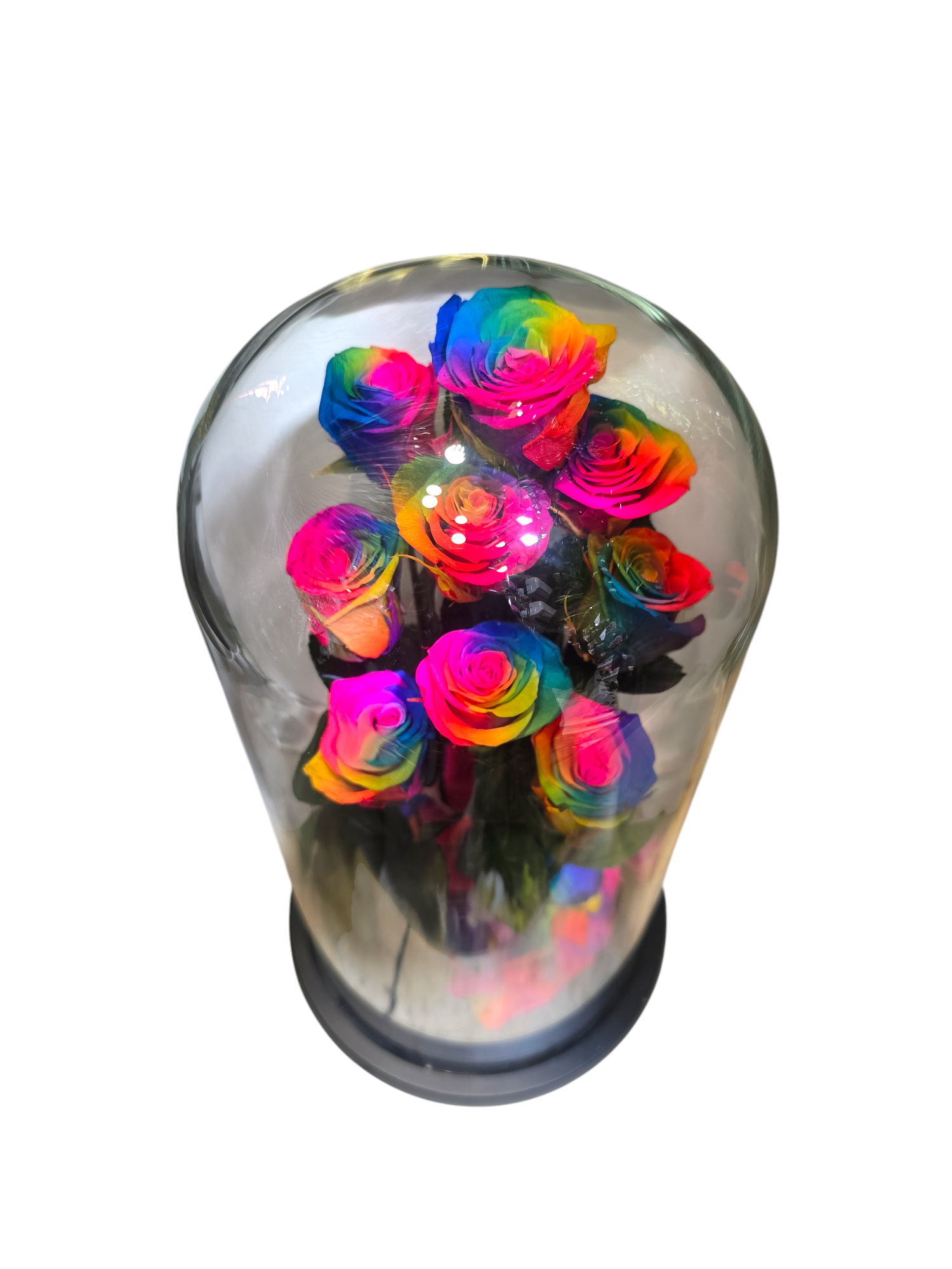 Cloche con Rose Stabilizzate – Bouquet di 9 Rose sotto Vetro (4 colori) - immagine 3