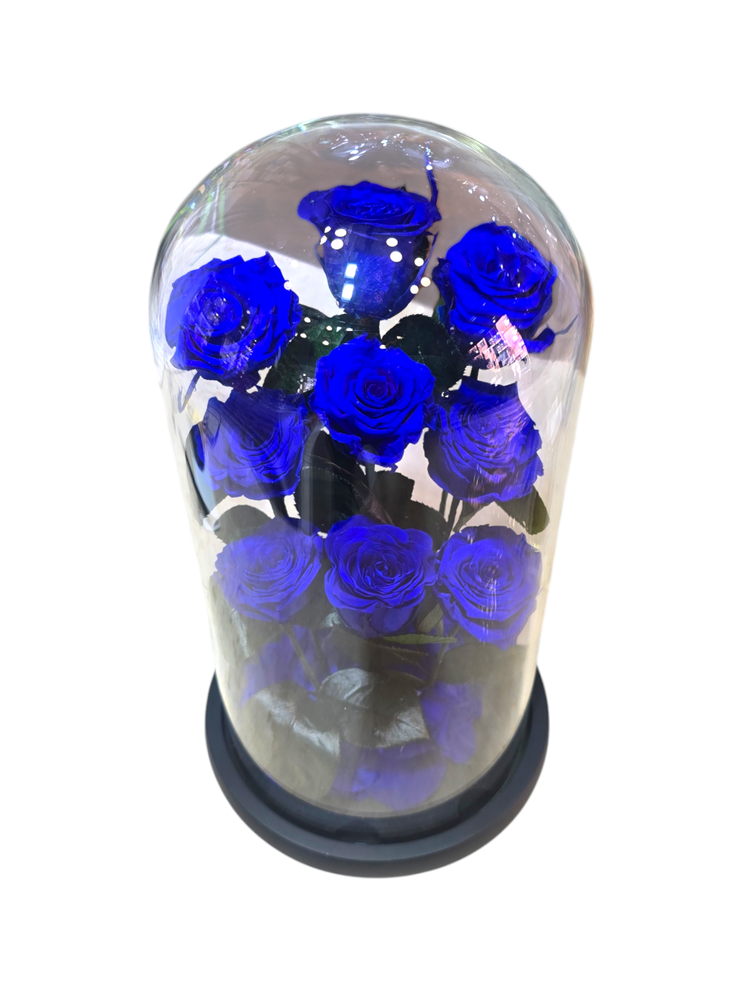 Cloche con Rose Stabilizzate – Bouquet di 9 Rose sotto Vetro (4 colori) - immagine 5