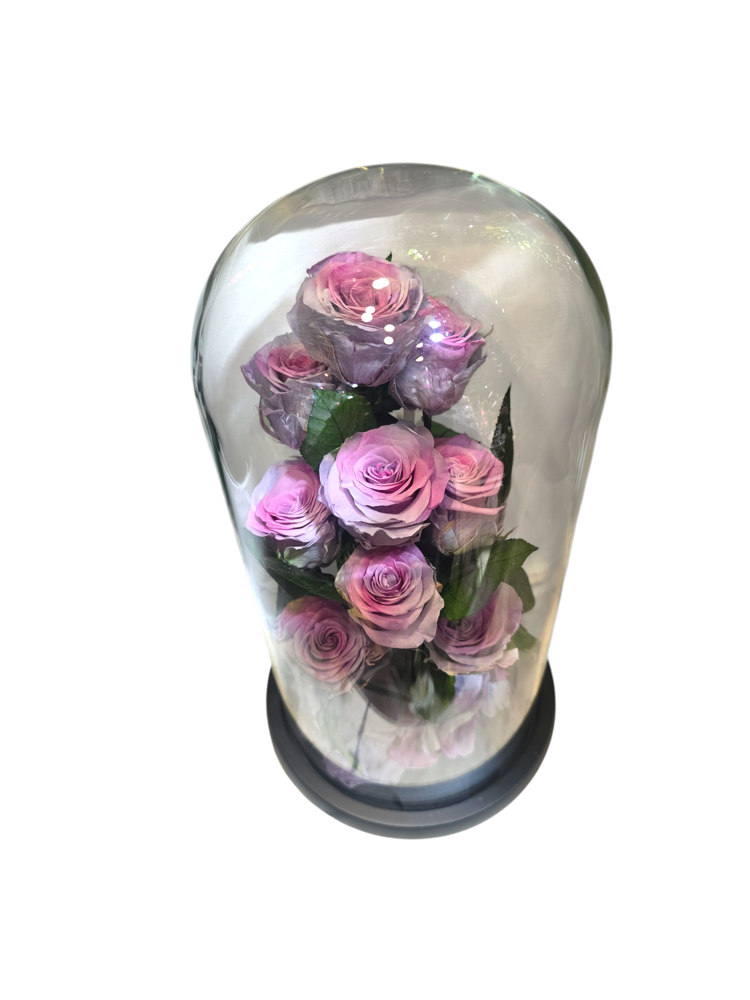 Cloche con Rose Stabilizzate – Bouquet di 9 Rose sotto Vetro (4 colori) - immagine 7