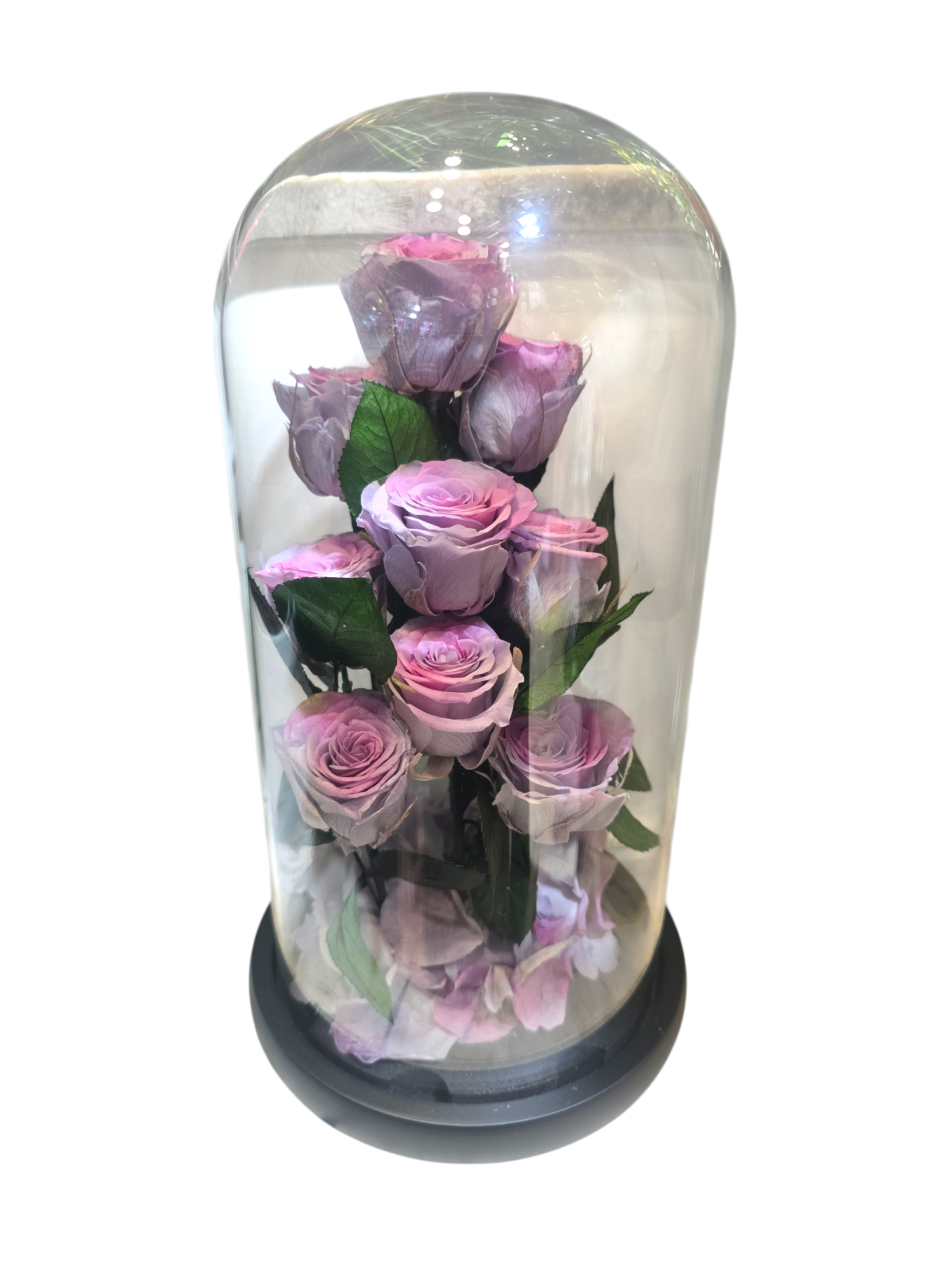Cloche con Rose Stabilizzate – Bouquet di 9 Rose sotto Vetro (4 colori) - immagine 8