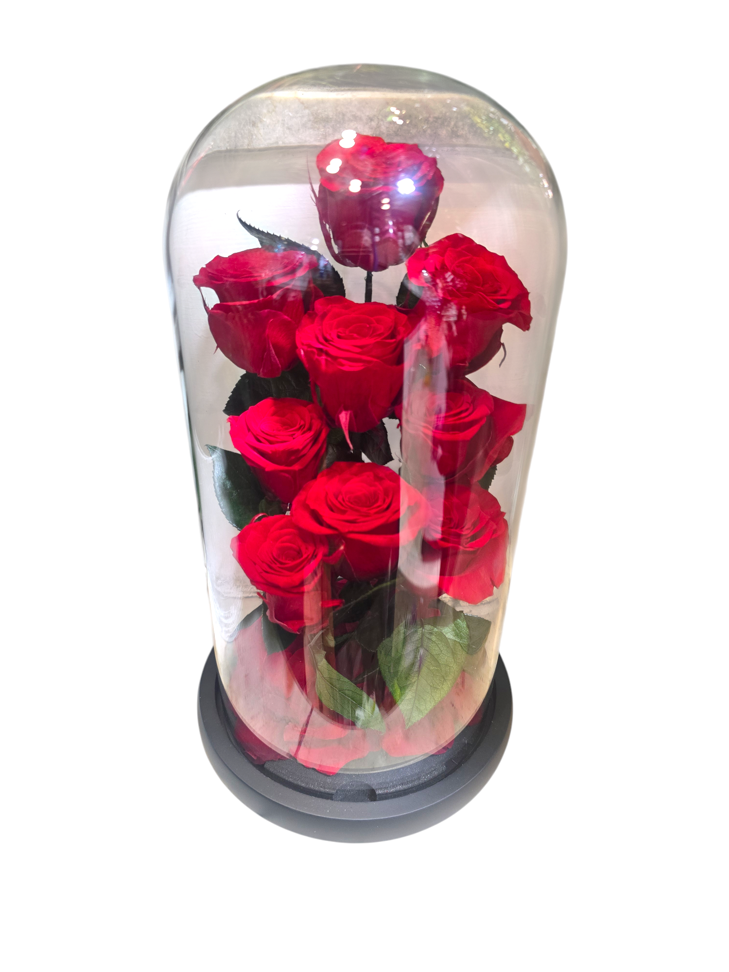 Cloche con Rose Stabilizzate – Bouquet di 9 Rose sotto Vetro (4 colori) - immagine 2