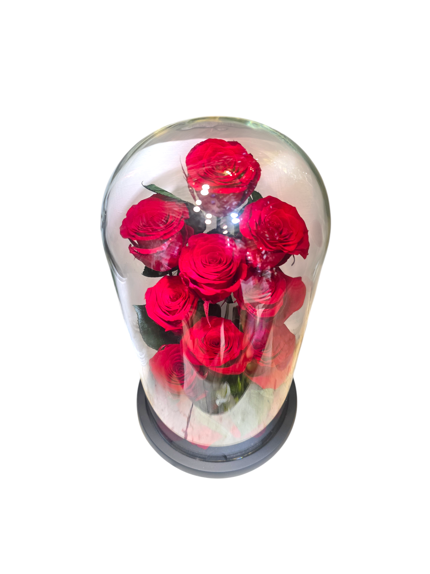 Cloche con Rose Stabilizzate – Bouquet di 9 Rose sotto Vetro (4 colori) - immagine 6