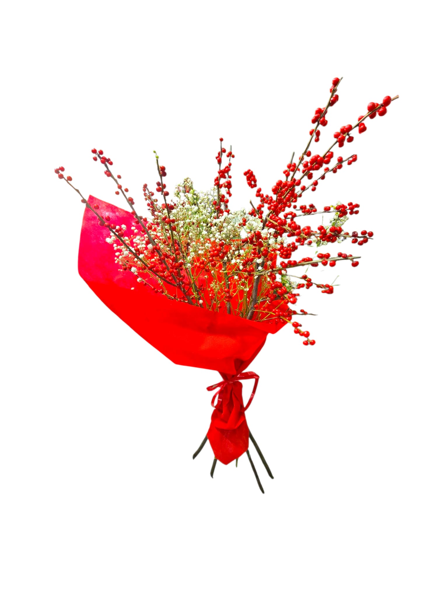 Featured image for “Bouquet di Ilex e Gysophilia”