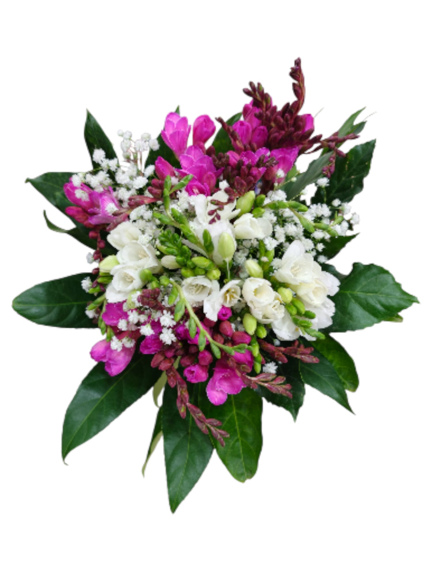 Bouquet di fresie fresche – Eleganza profumata - immagine 3