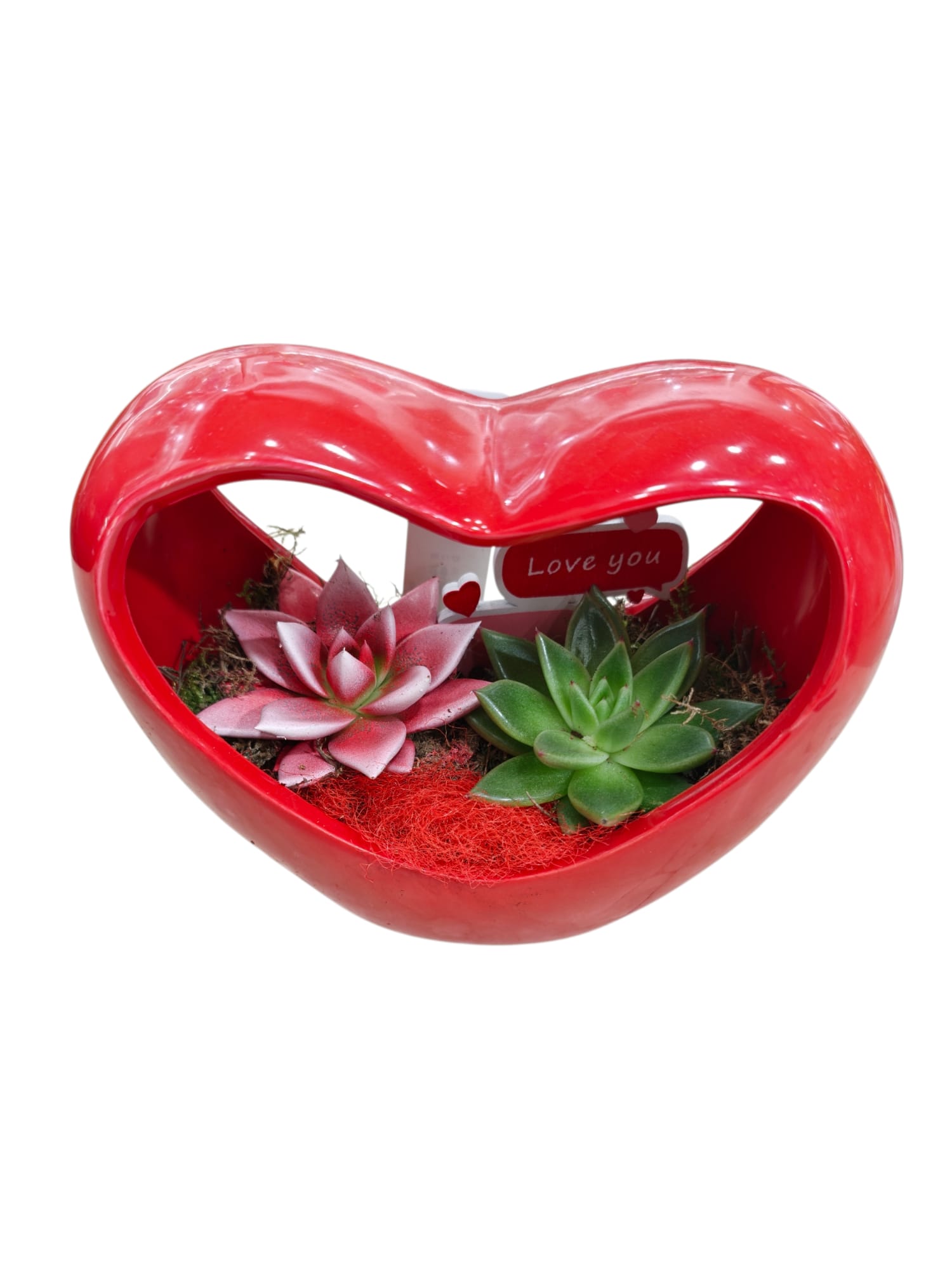 Featured image for “Cuore con piante grasse in ceramica”