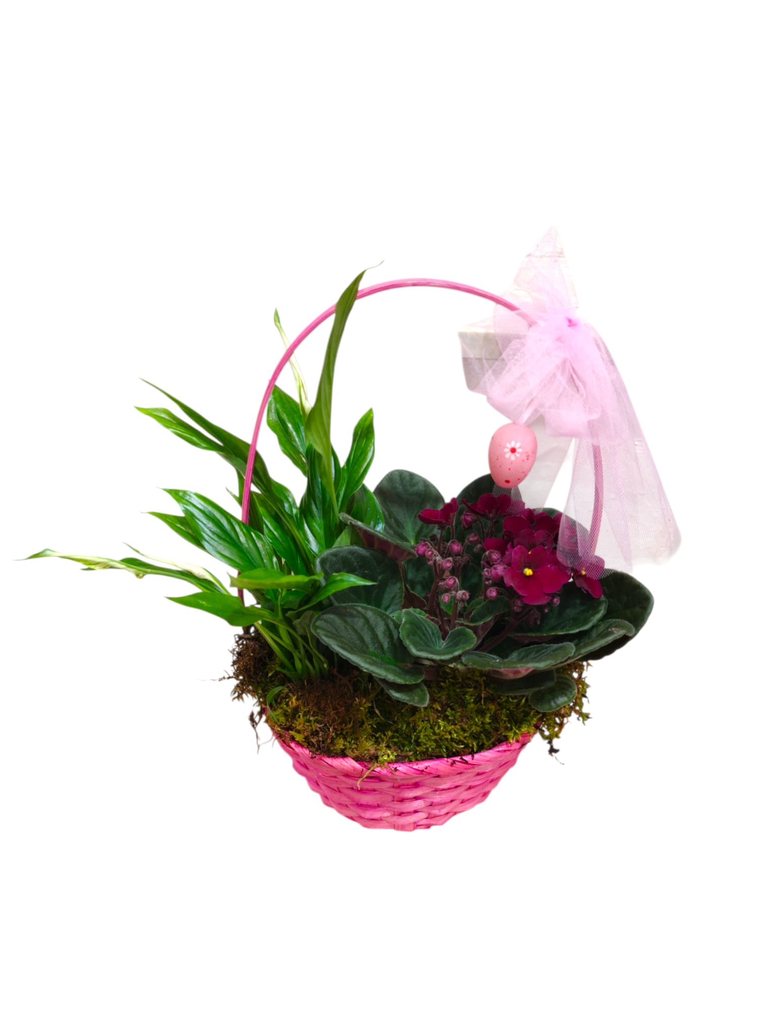 Cestino con Saintpaulia e Spathiphyllum - immagine 2