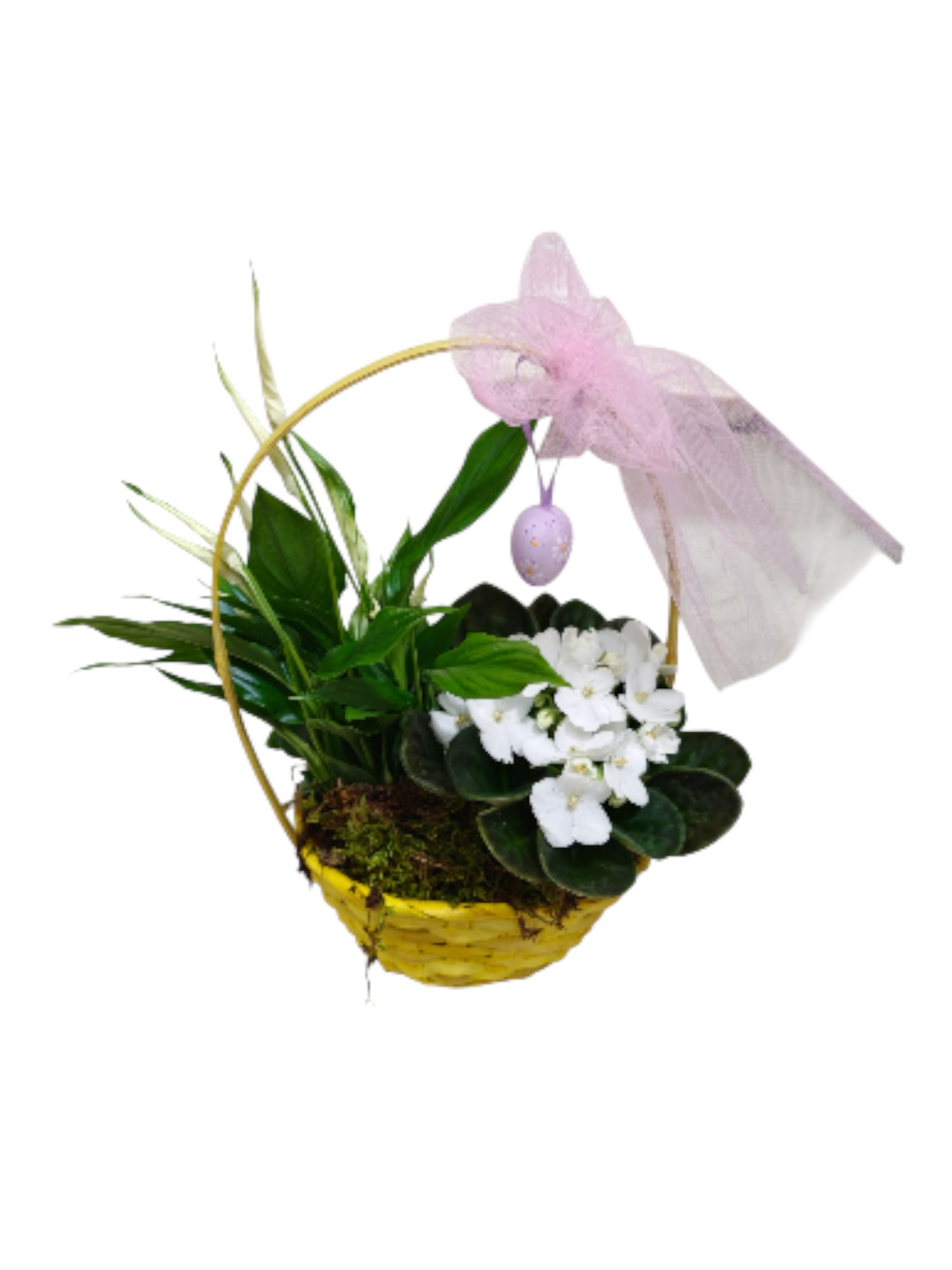 Cestino con Saintpaulia e Spathiphyllum - immagine 3