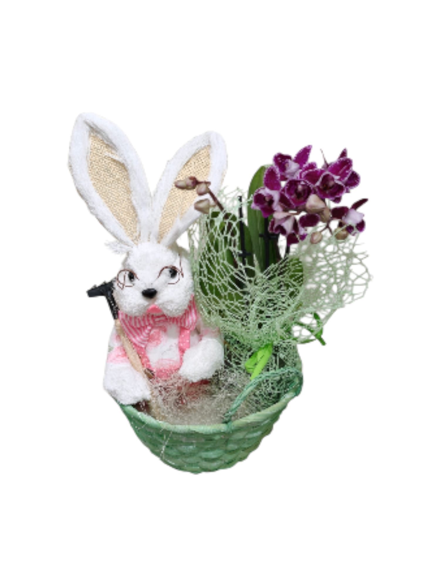 Featured image for “Cestino grande con coniglietto con occhiali e orchidea Phalaenopsis”