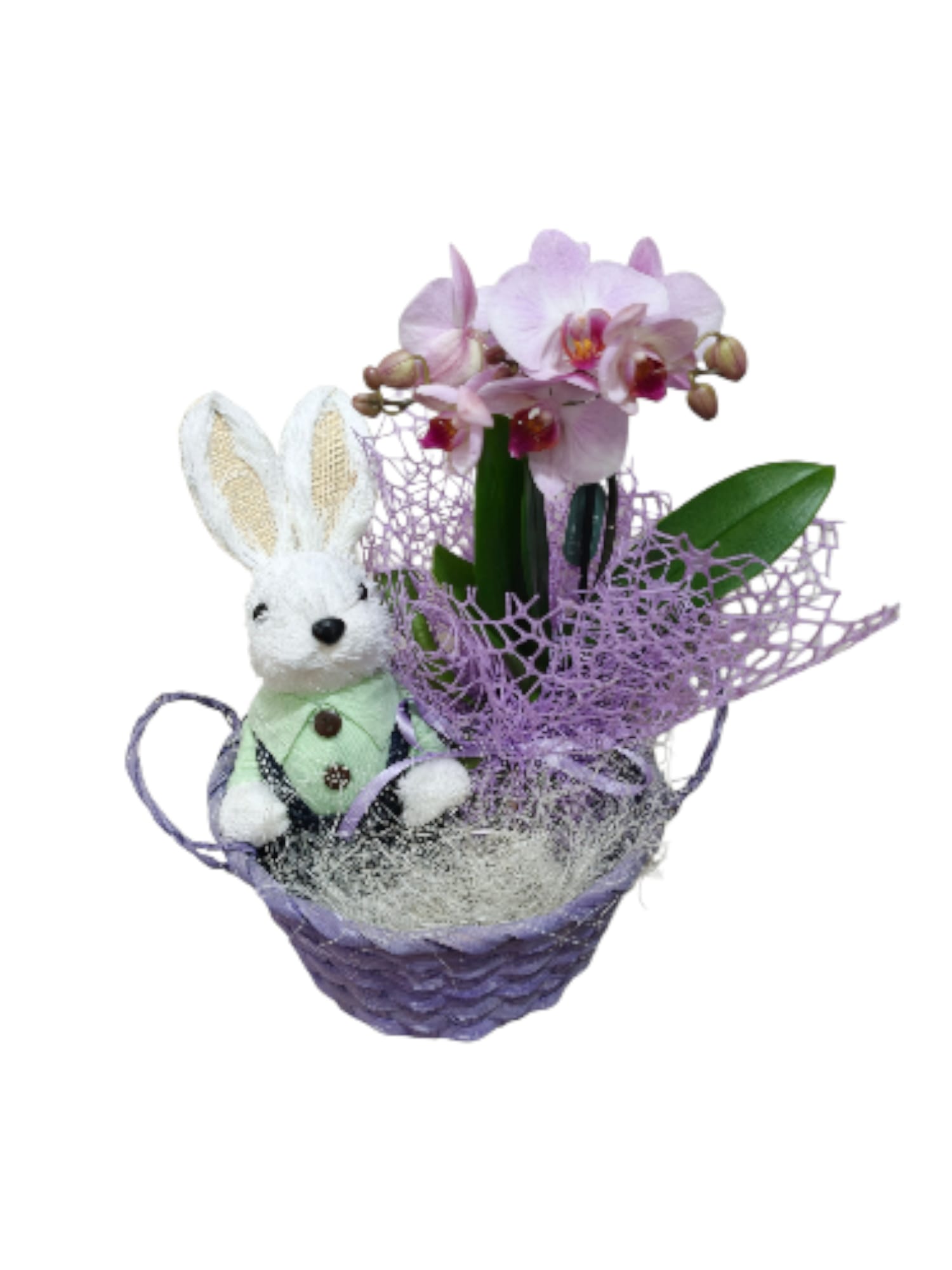 Cestino con coniglietto e orchidea Phalaenopsis - immagine 2