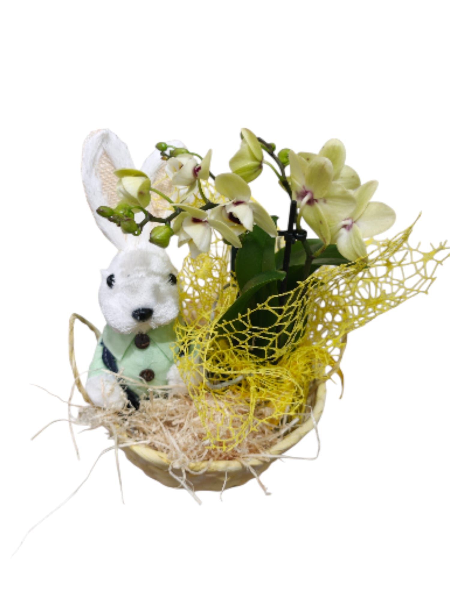 Cestino con coniglietto e orchidea Phalaenopsis - immagine 3
