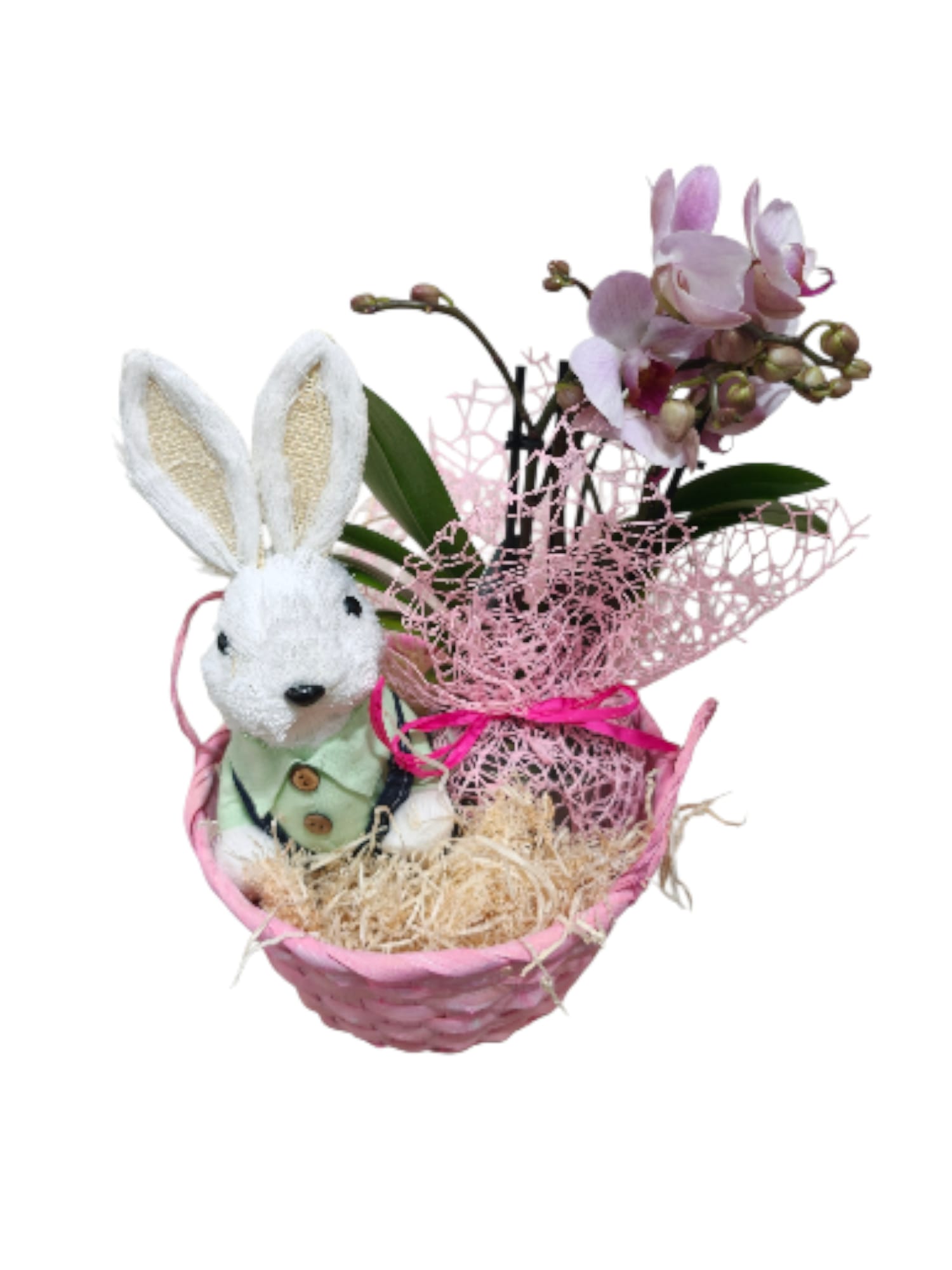 Featured image for “Cestino con coniglietto e orchidea Phalaenopsis”
