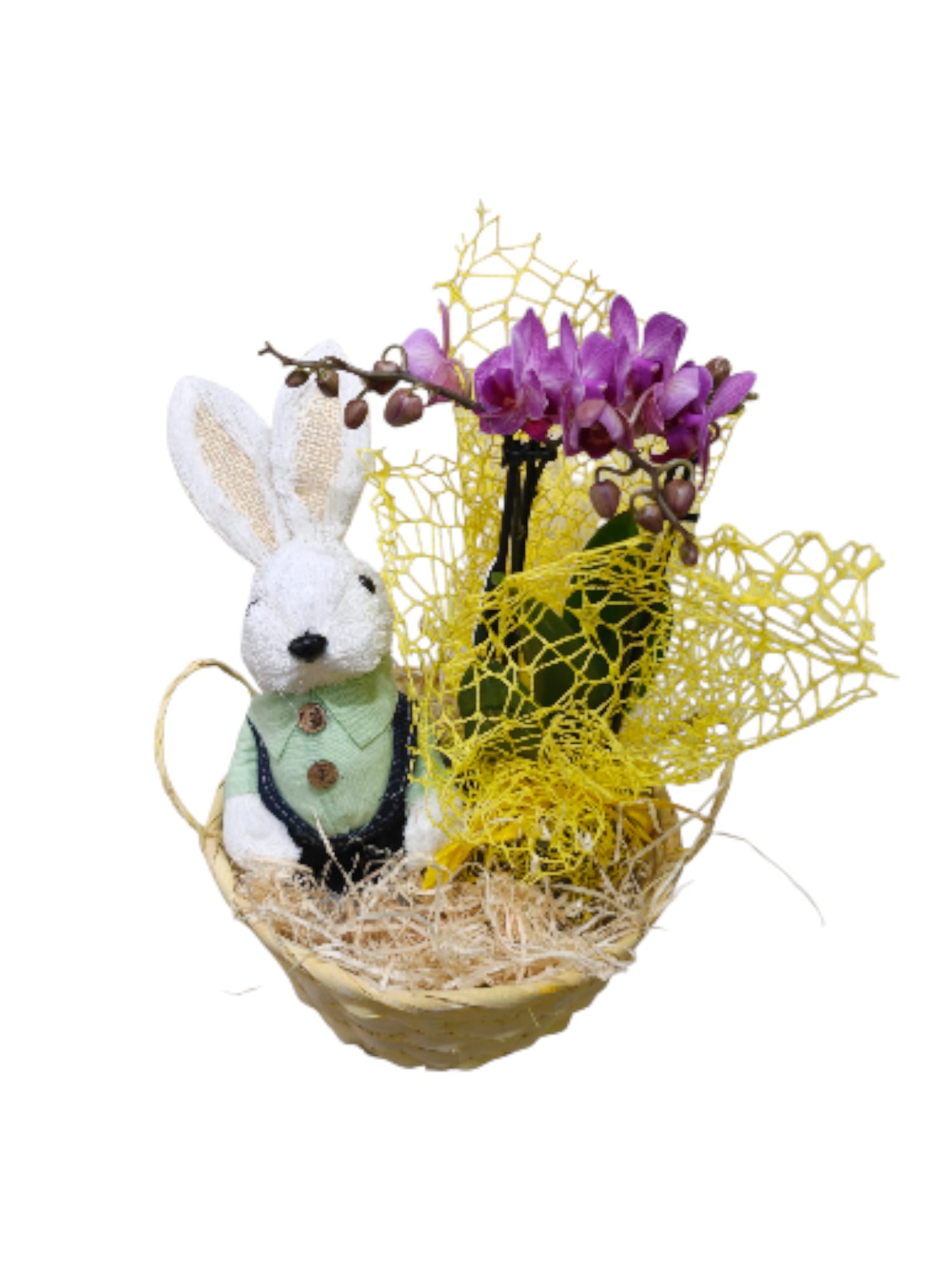 Cestino con coniglietto e orchidea Phalaenopsis - immagine 5