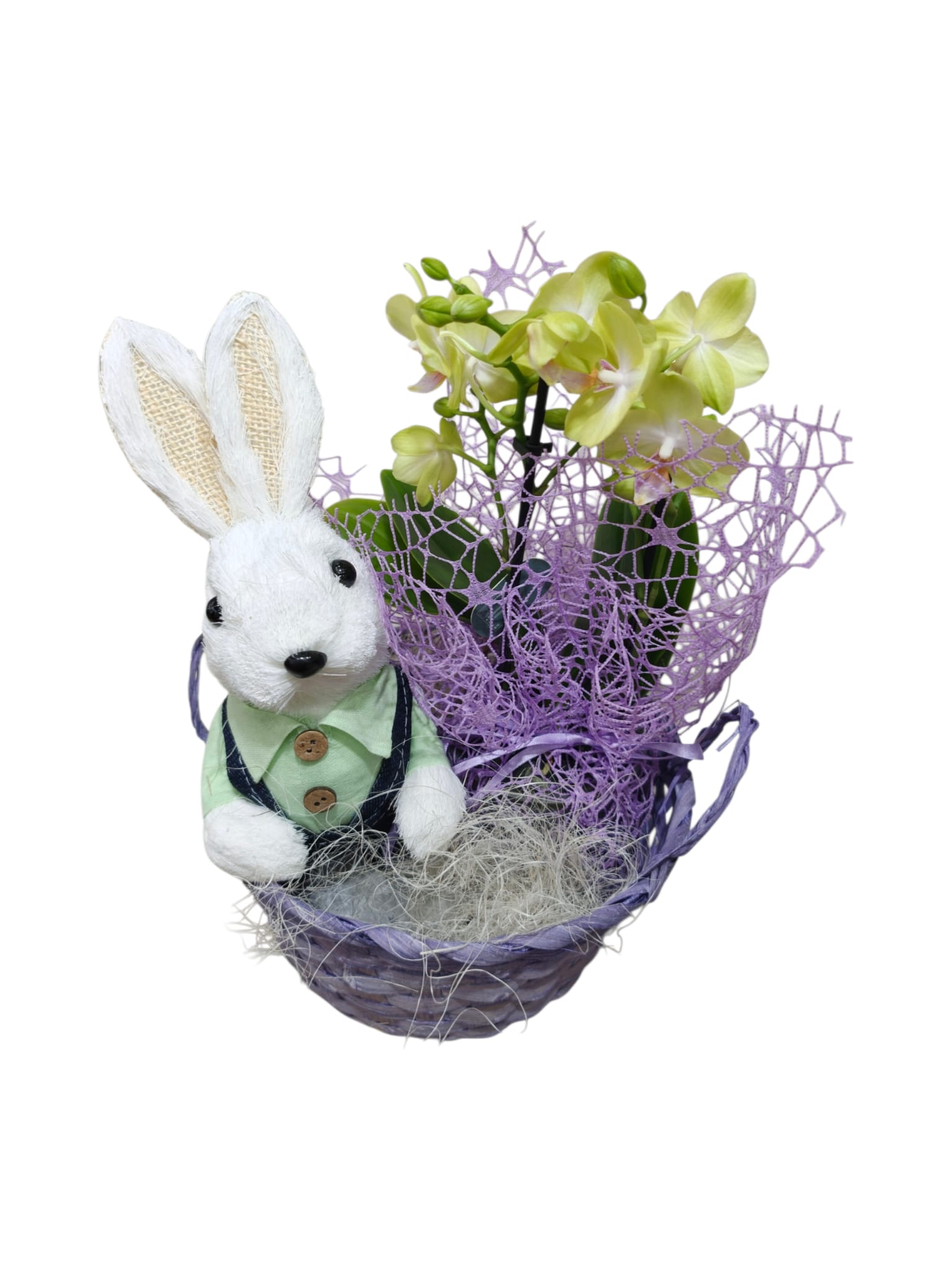 Cestino con coniglietto e orchidea Phalaenopsis - immagine 6