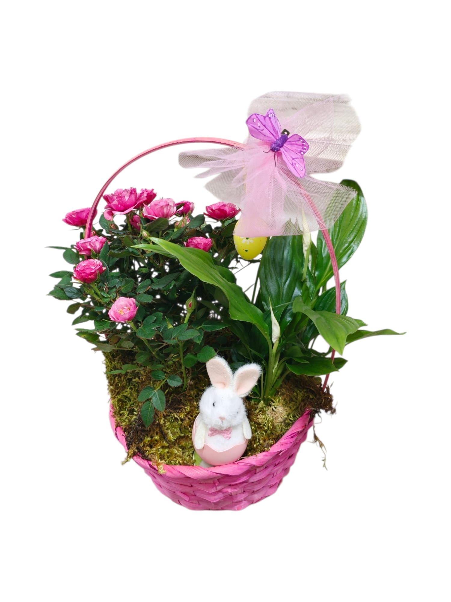 Featured image for “Cestino con pianta di roselline e Spathiphyllum”