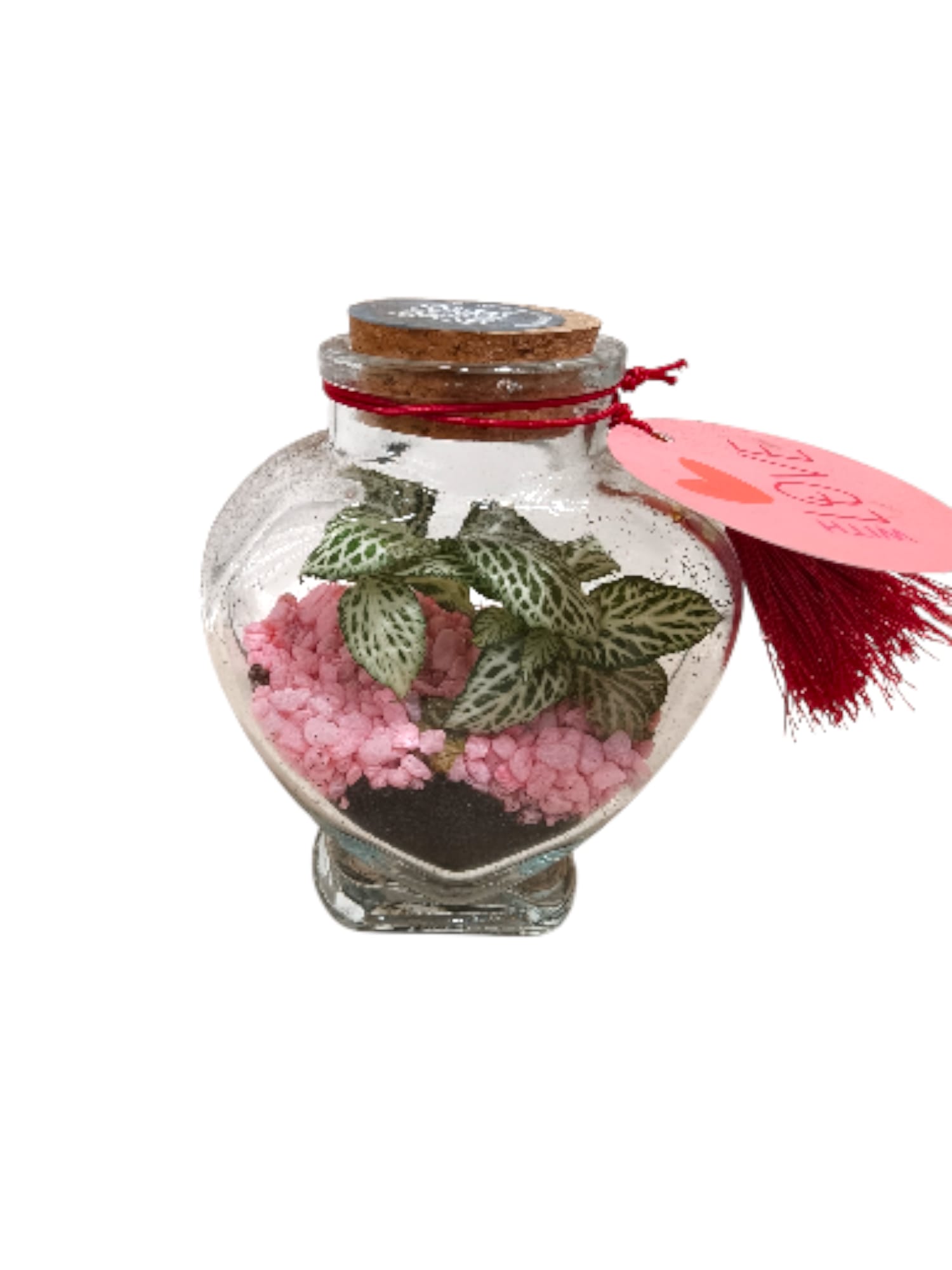 Terrarium piccolo a forma di cuore - immagine 2