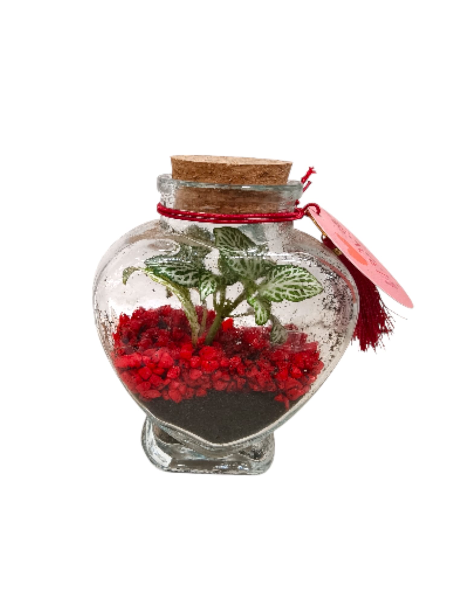 Terrarium piccolo a forma di cuore