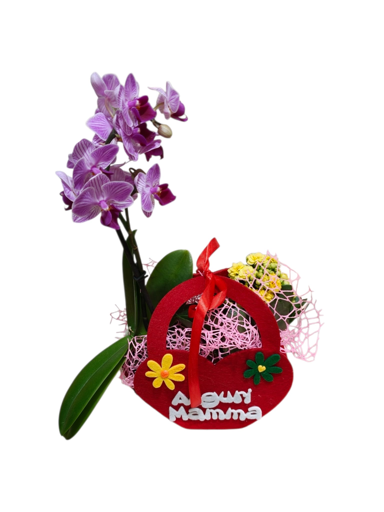 Featured image for “Borsetta con orchidea e Kalanchoe”