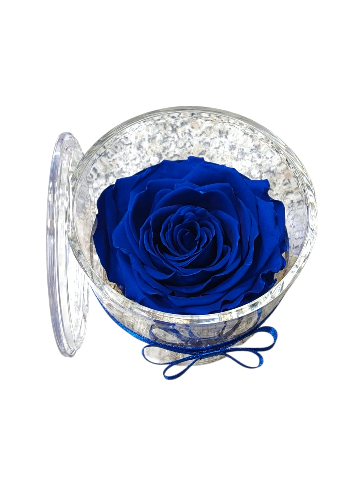Rosa stabilizzata in cilindro trasparente con coperchio - immagine 18