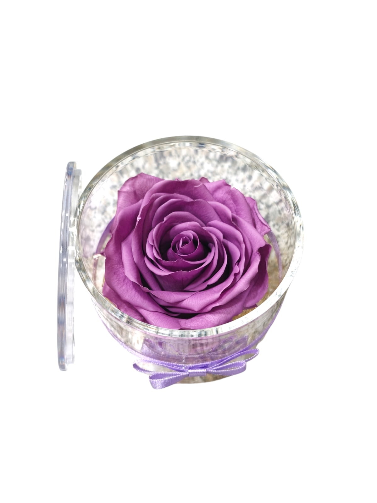 Rosa stabilizzata in cilindro trasparente con coperchio - immagine 14