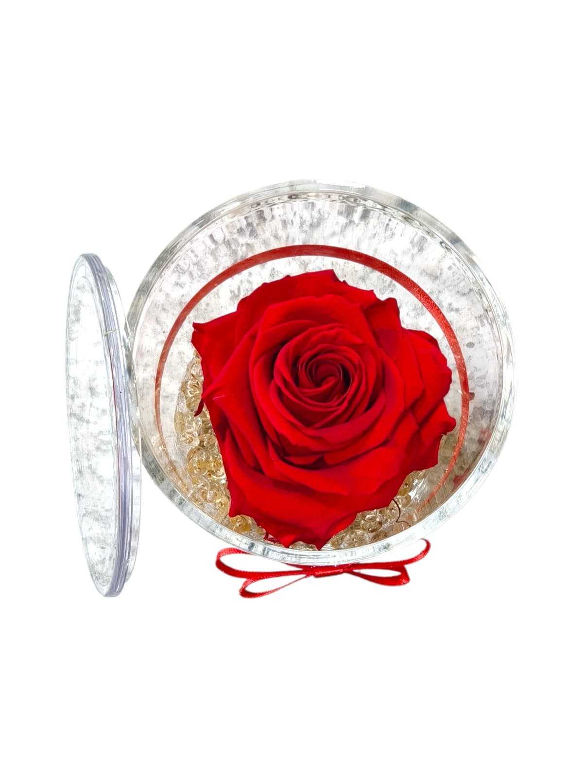 Rosa stabilizzata in cilindro trasparente con coperchio - immagine 8