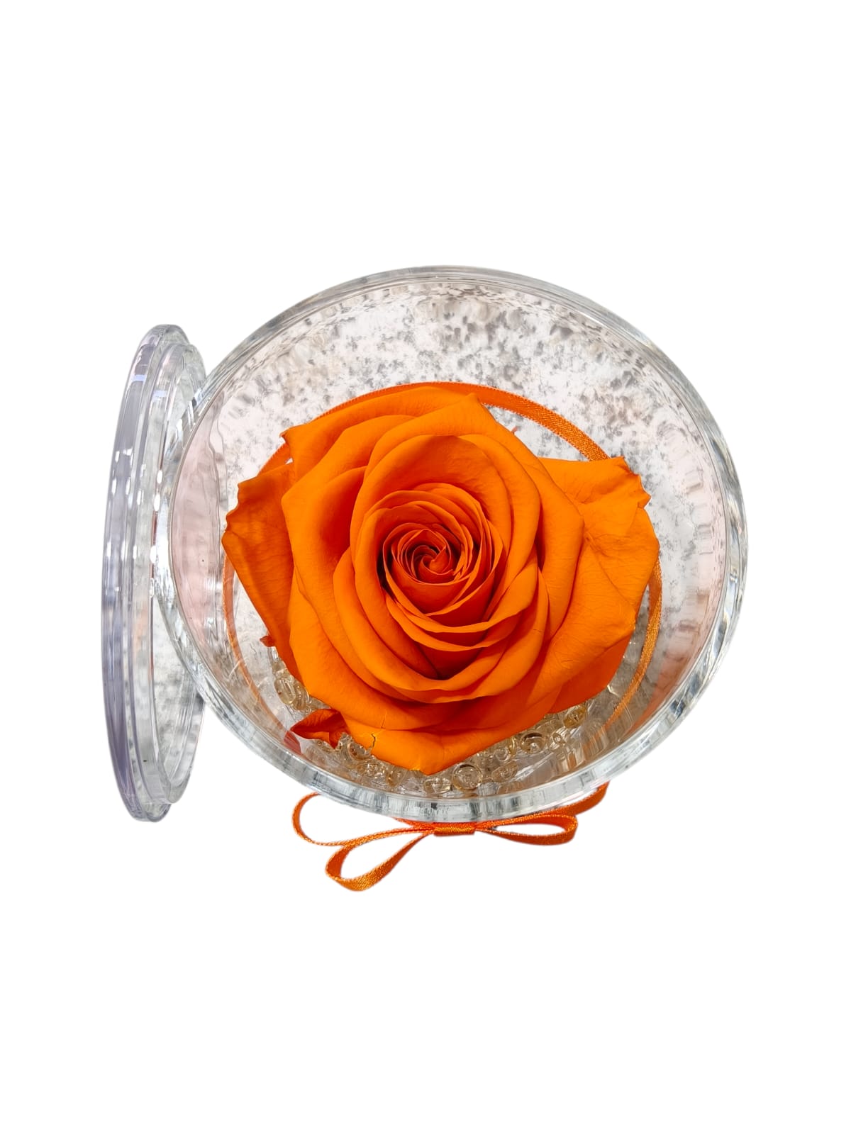 Rosa stabilizzata in cilindro trasparente con coperchio - immagine 6