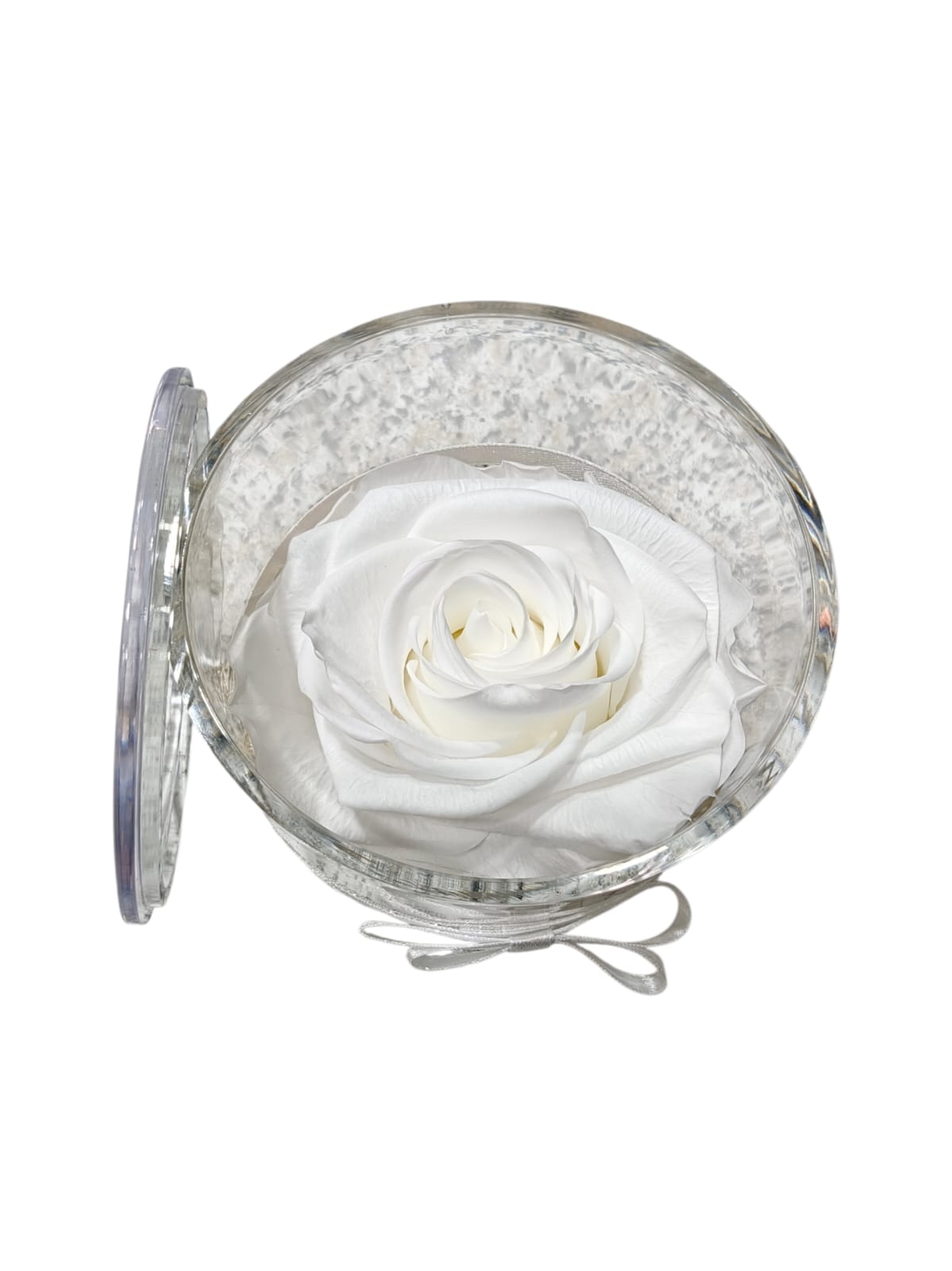 Rosa stabilizzata in cilindro trasparente con coperchio - immagine 3
