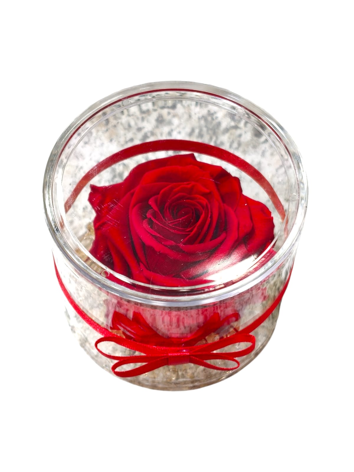 Rosa stabilizzata in cilindro trasparente con coperchio